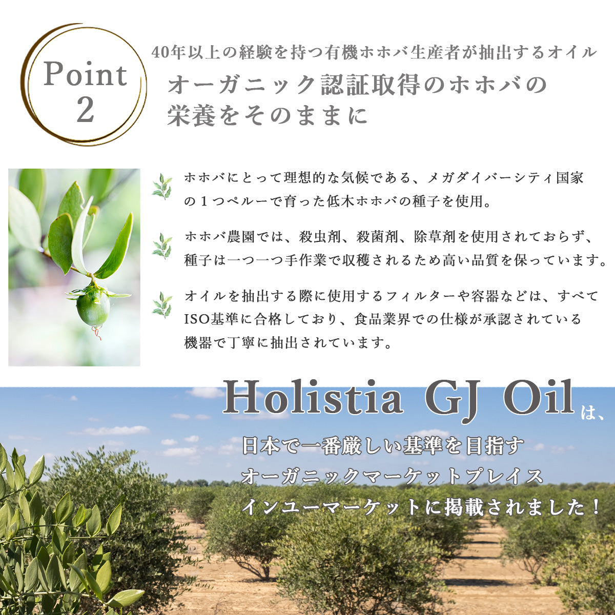 ゴールデンホホバオイル スキンオイル